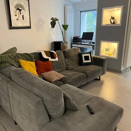 Appartement 110M2 Annemasse Eksteriør billede